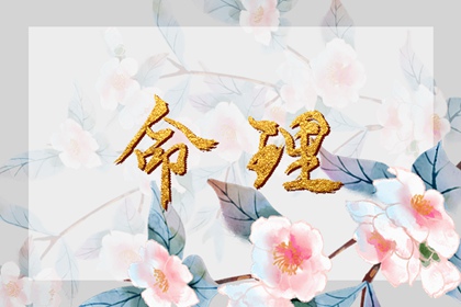老黄历吉日吉时查询_2025年黄历_老黄历万年历